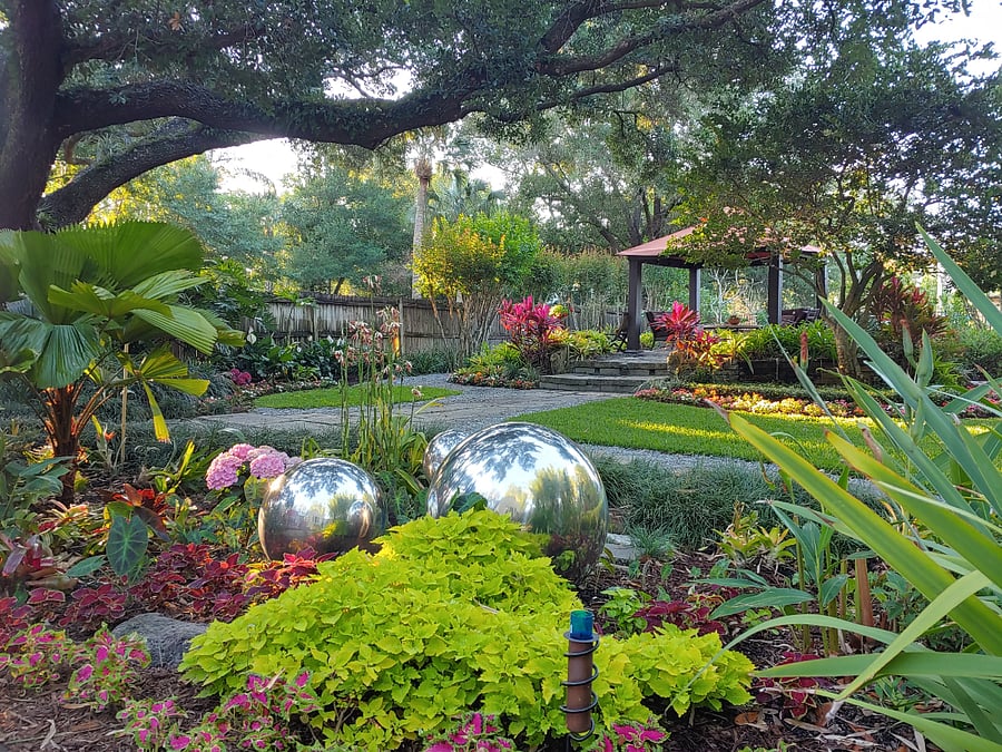 Backyard from the deck