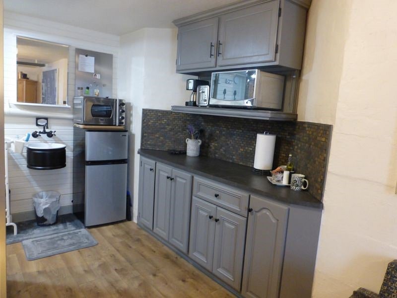 Kitchenette with mid-size refrigerator, microwave, countertop convection oven / air fryer, coffee maker and induction cooktop