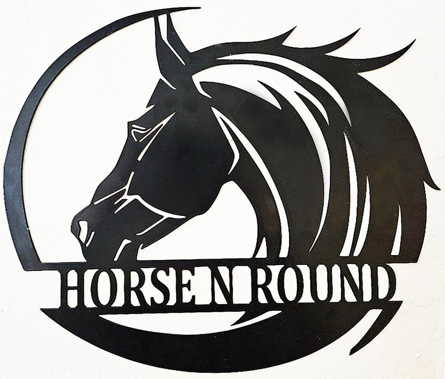 Horse=n-Round  Dream'n bout running on the WILD side-- with Desert Wild Horses