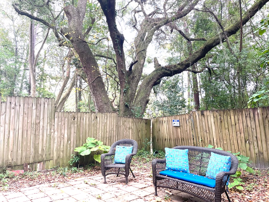 Furnished Finder property 631678_1 photo 10