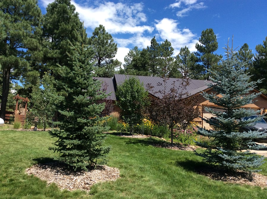 Furnished Finder property 631693_1 photo 2