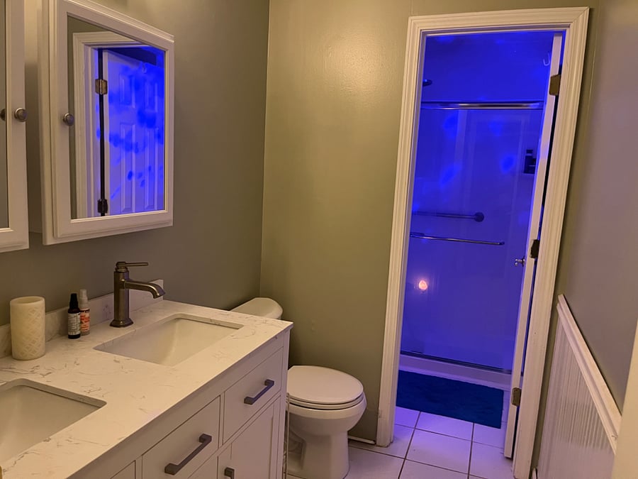 Main bath with new waterfall shower