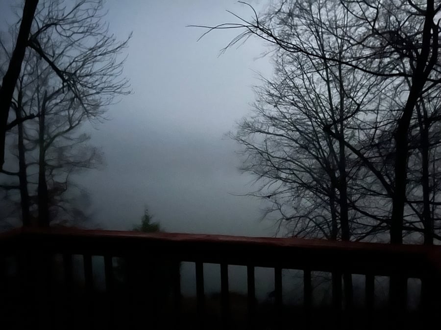 Love when the mist settles like snow over the lake