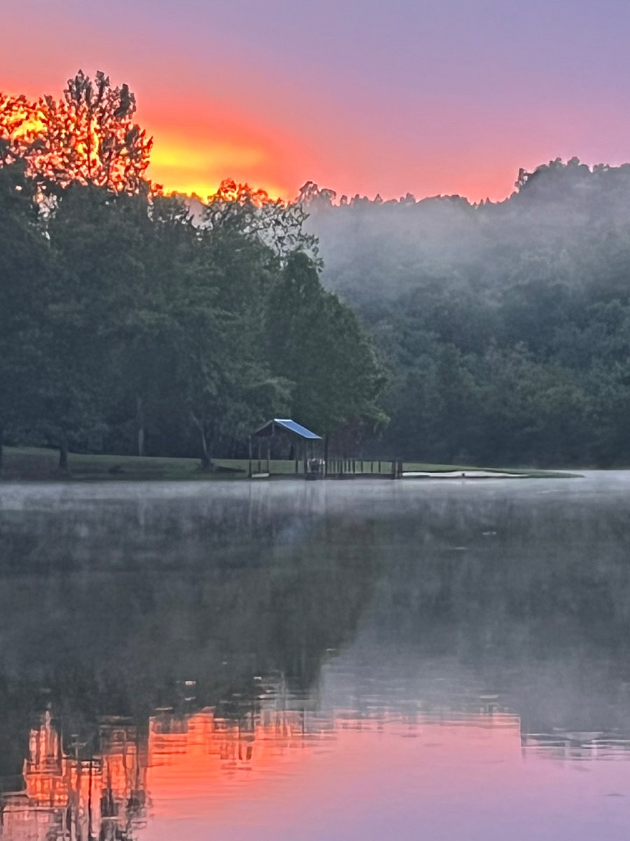 My fav spot to paddleboard is here, across from the house- it leads to a small island, hidden cove with blue dragonflies, Great Blue Herons home, turtles & huge catfish