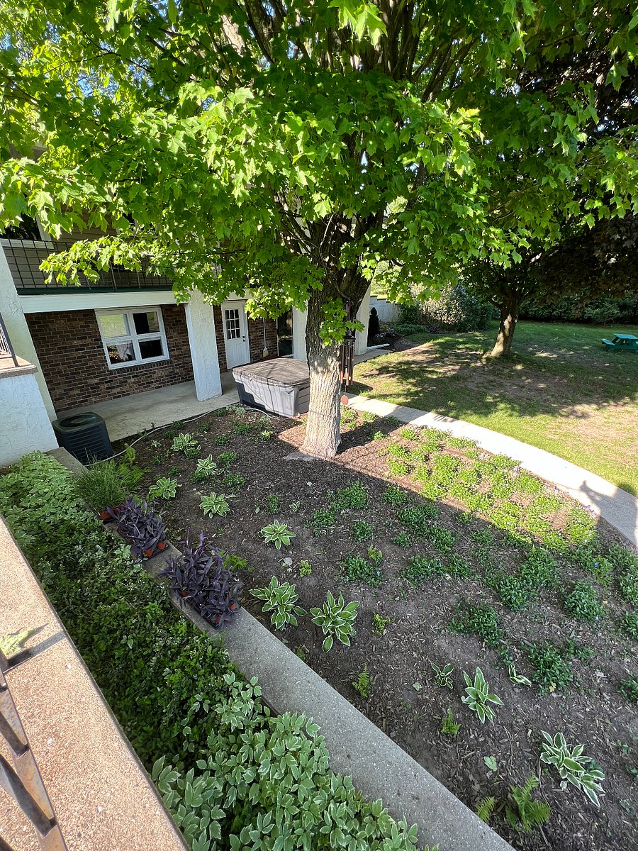 Furnished Finder property 631941_1 photo 18
