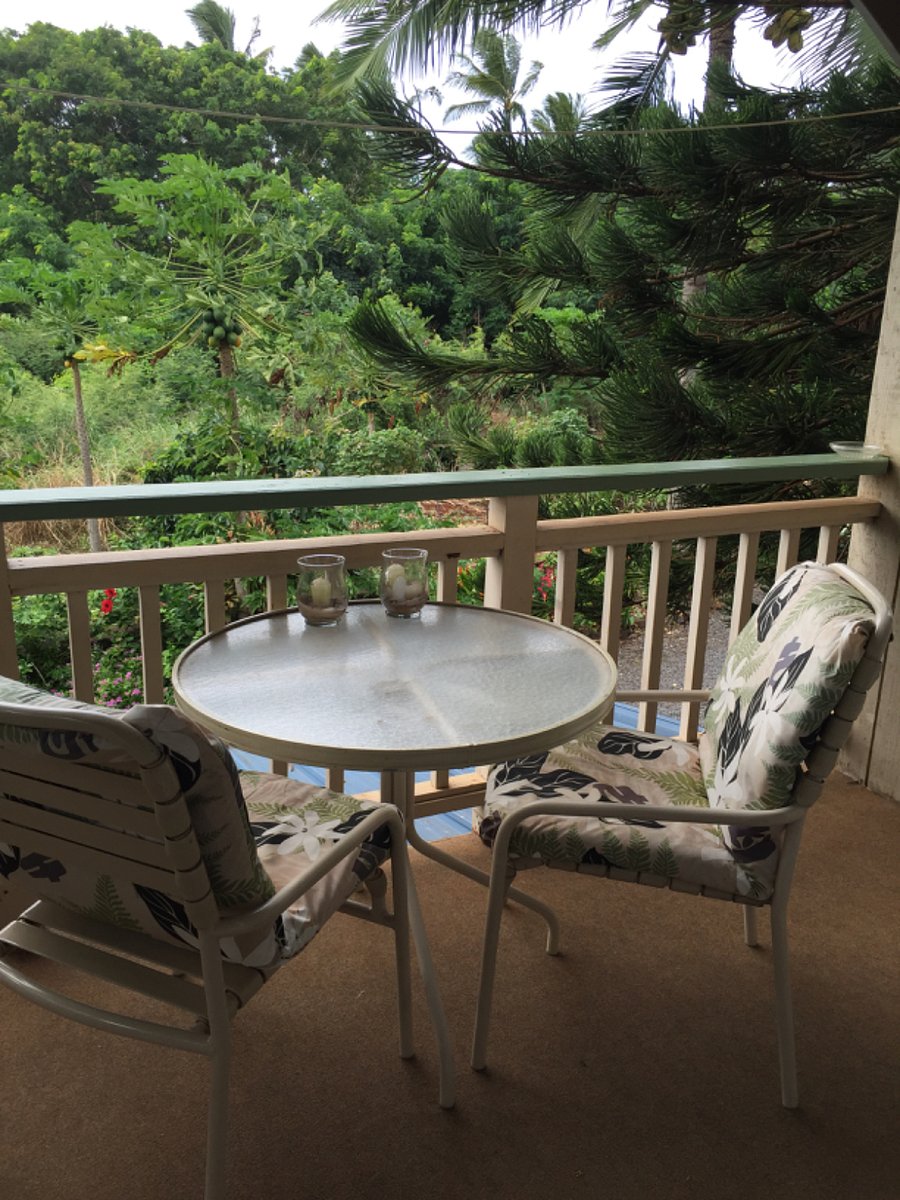 Furnished Finder property 631961_1 photo 3