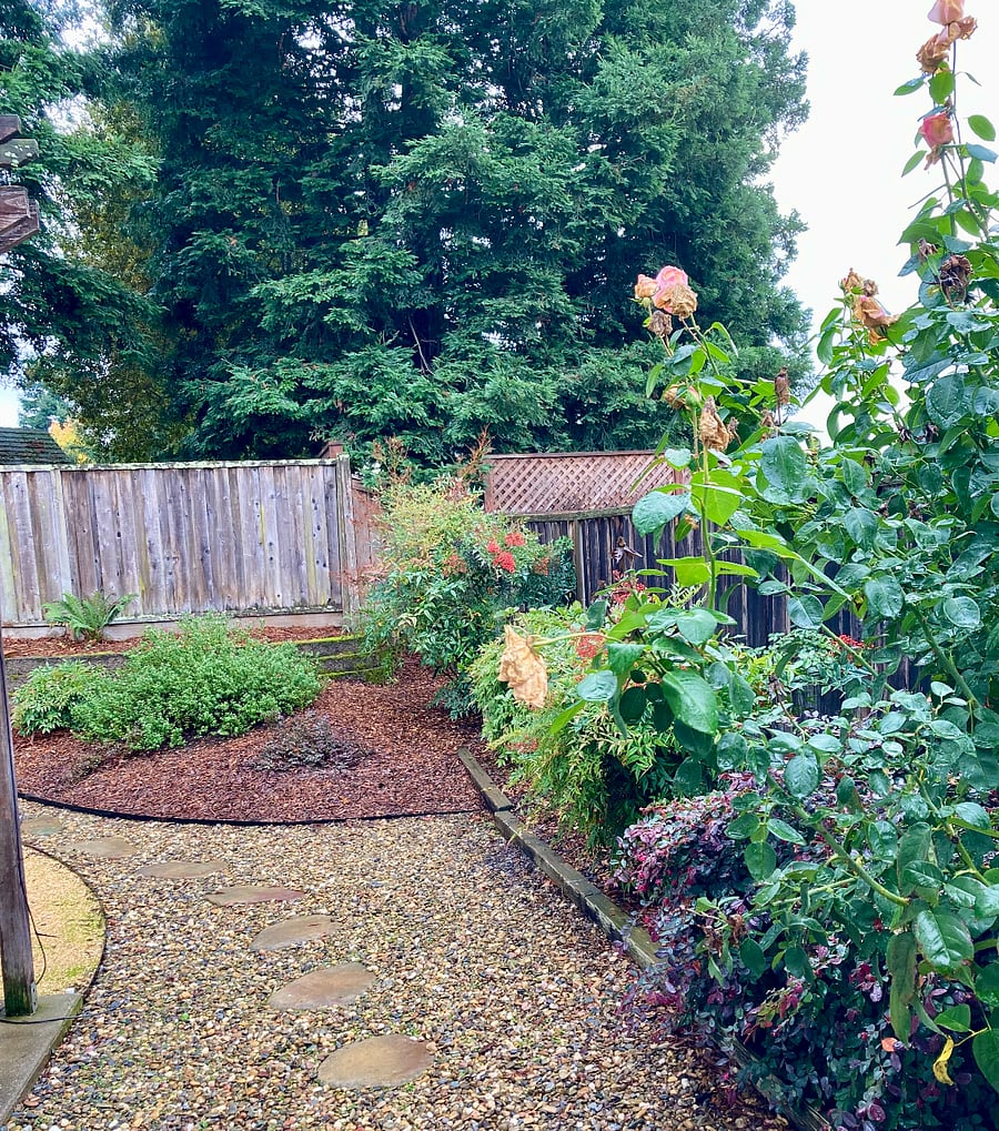 The backyard is yours to enjoy, including a gas BBQ.