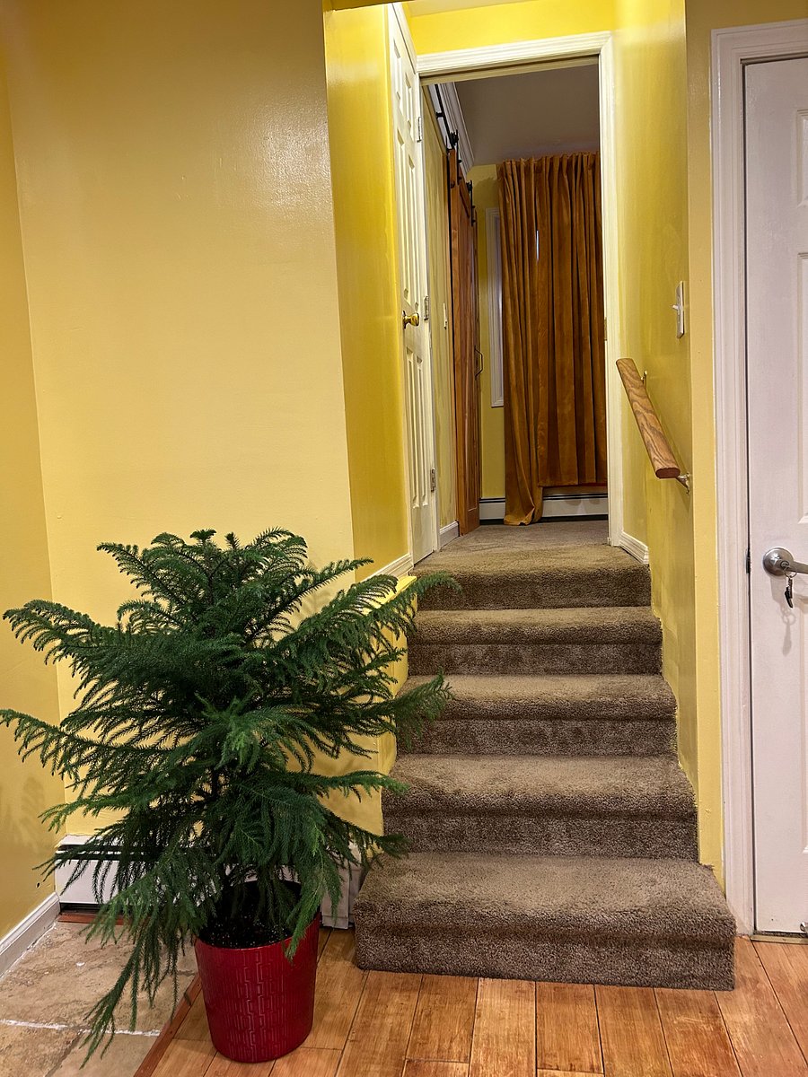 Furnished Finder property 632103_1 photo 3