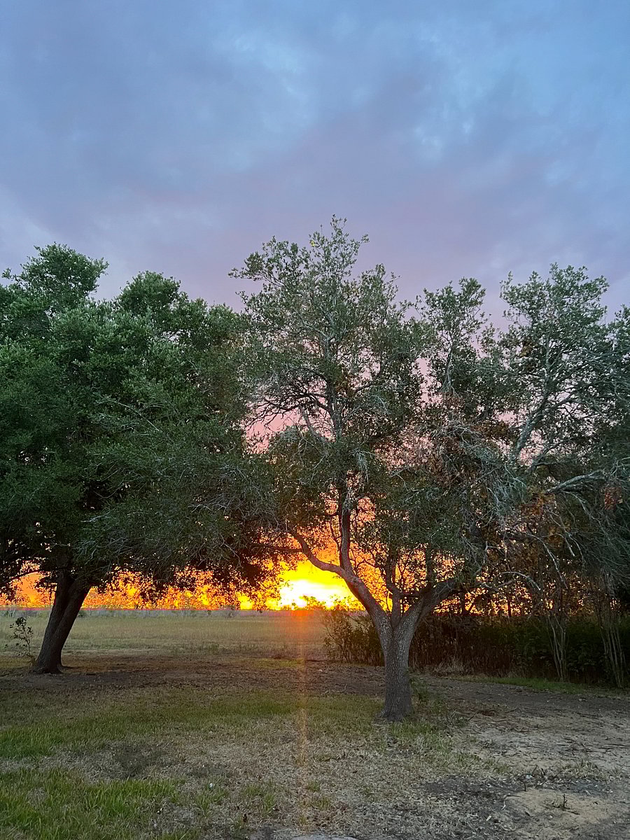 Beautiful Sunrises
