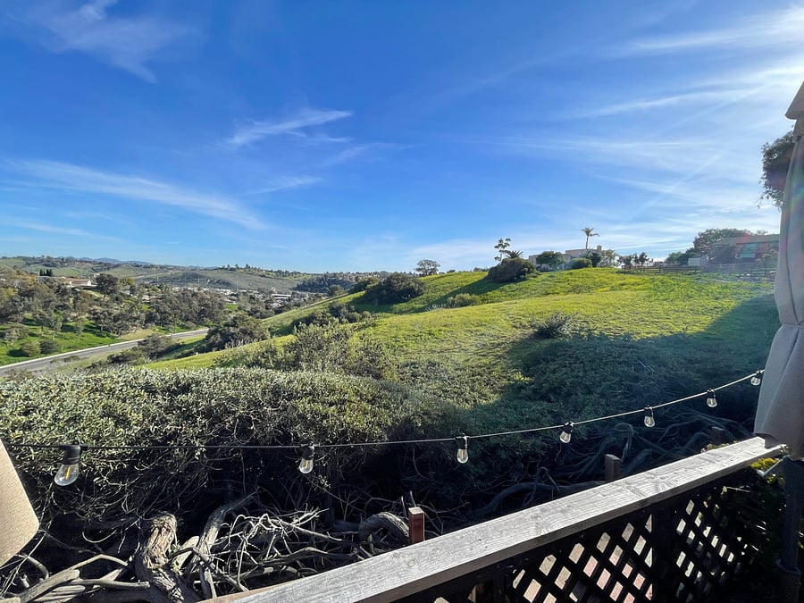Overlooking Carlsbad