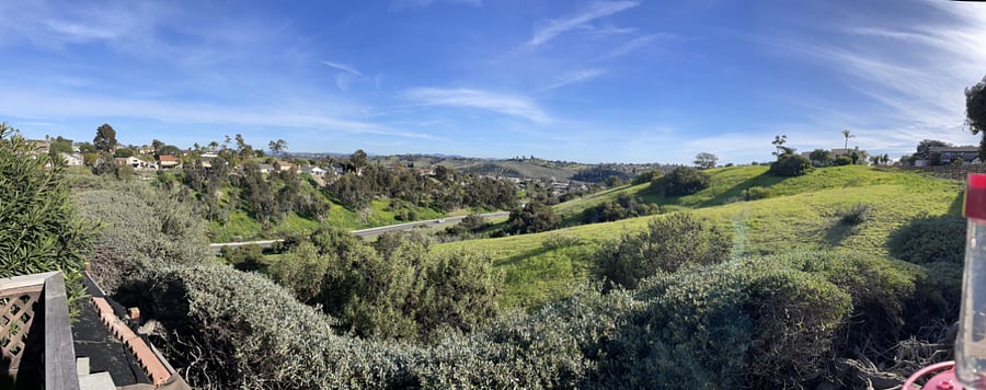 Daytime view from Patio