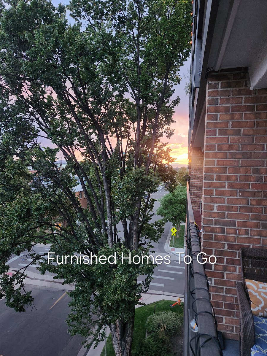 Furnished Finder property 632512_1 photo 27