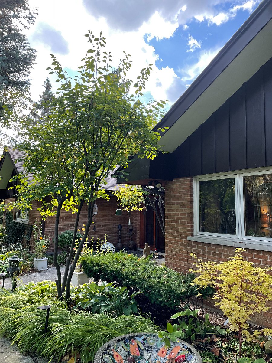 Furnished Finder property 632522_1 photo 11