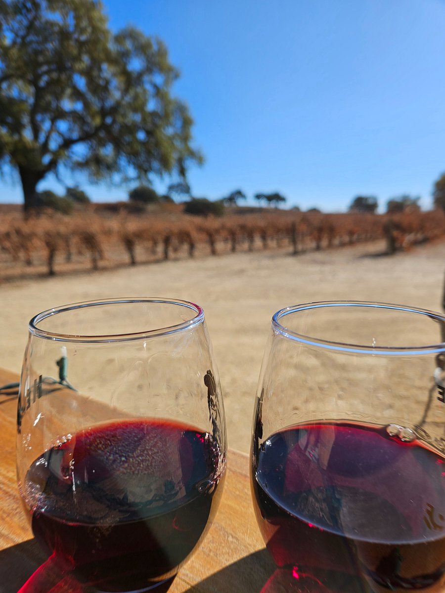 Paso Robles wineries 90 miles away!! Check out Sculpterra Winery and Sculpture Garden.