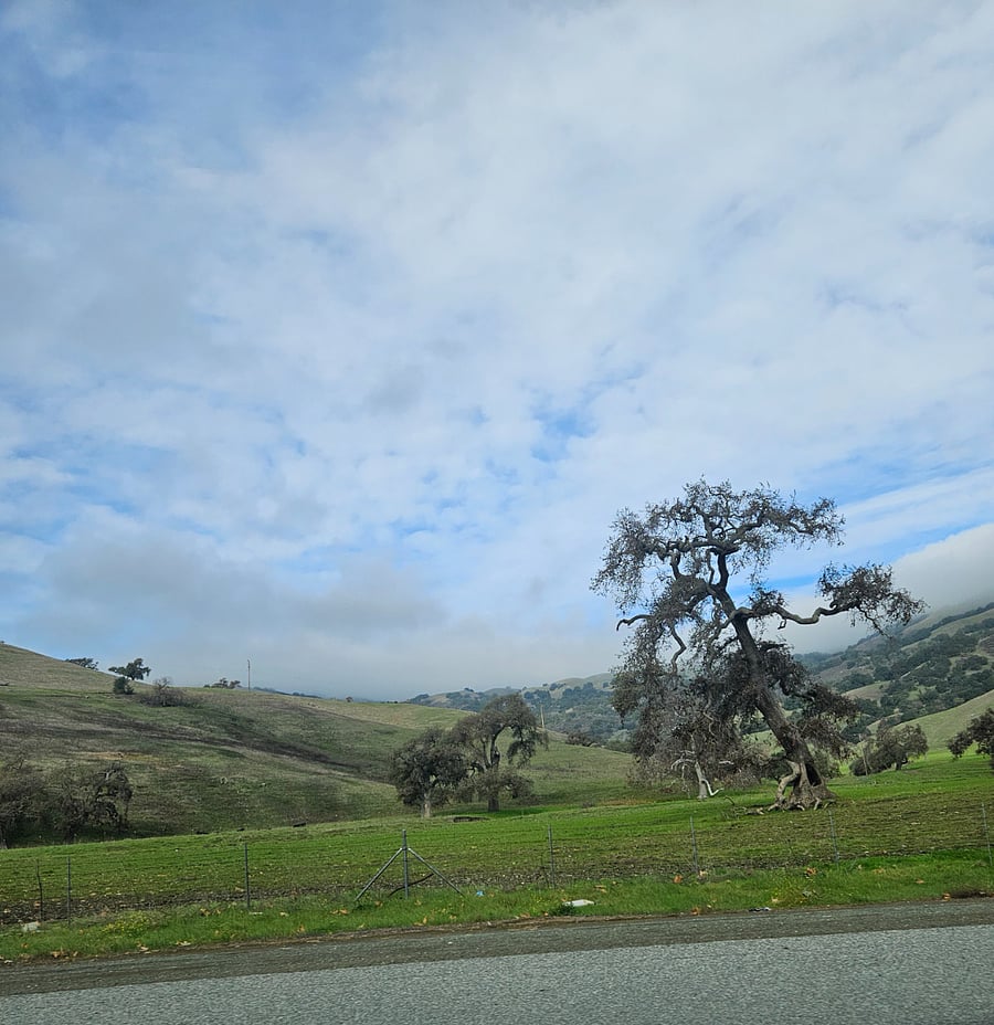 Views from a day trip to Hollister, CA. Stop at the Casa de Frutas
