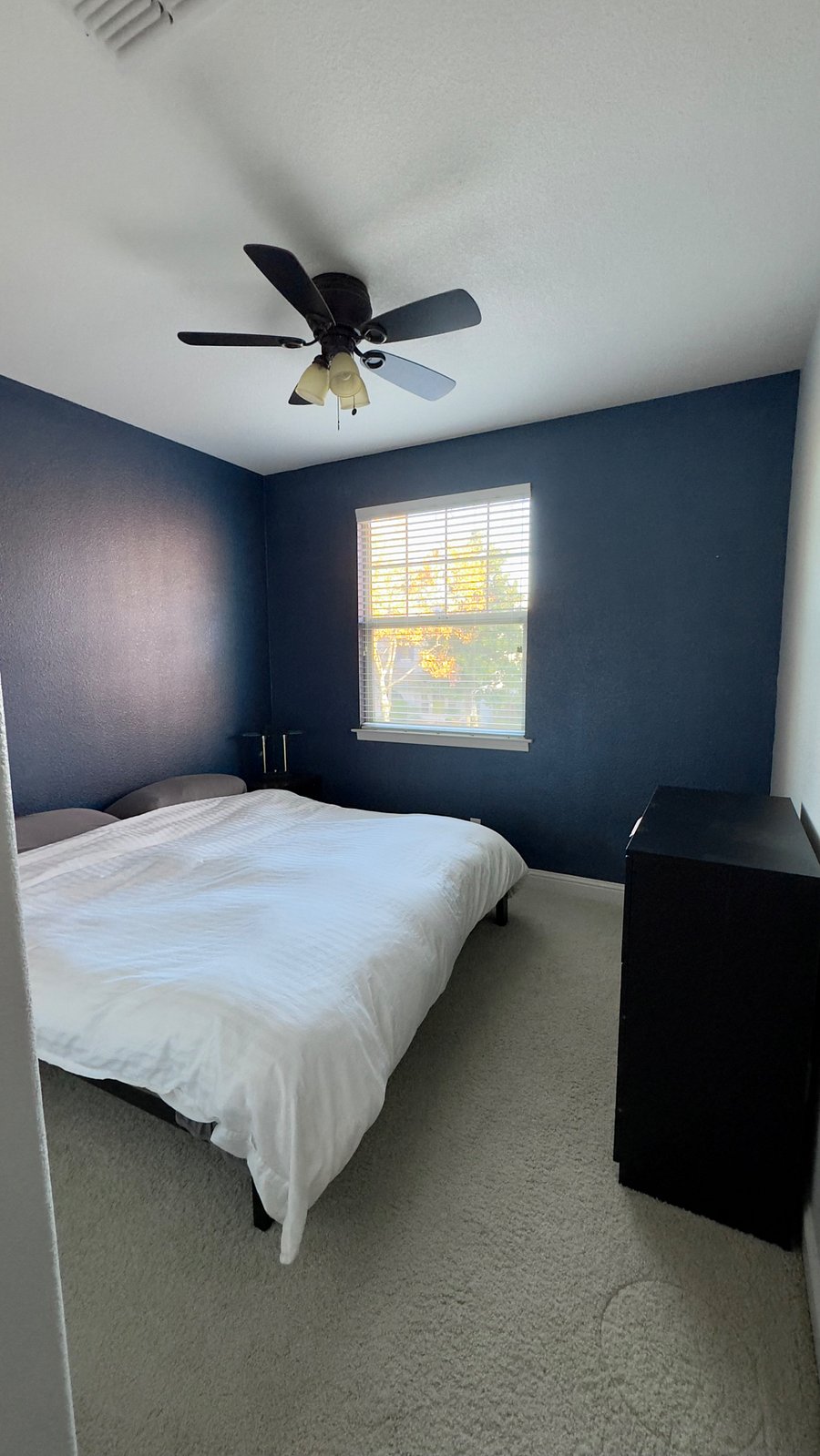 Furnished Finder property 632885_1 photo 5