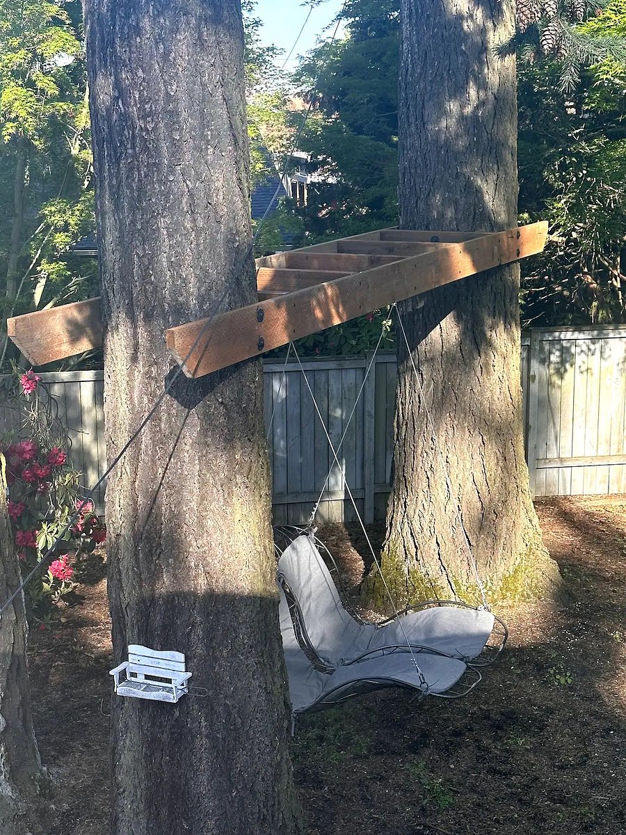 Shared backyard with swing