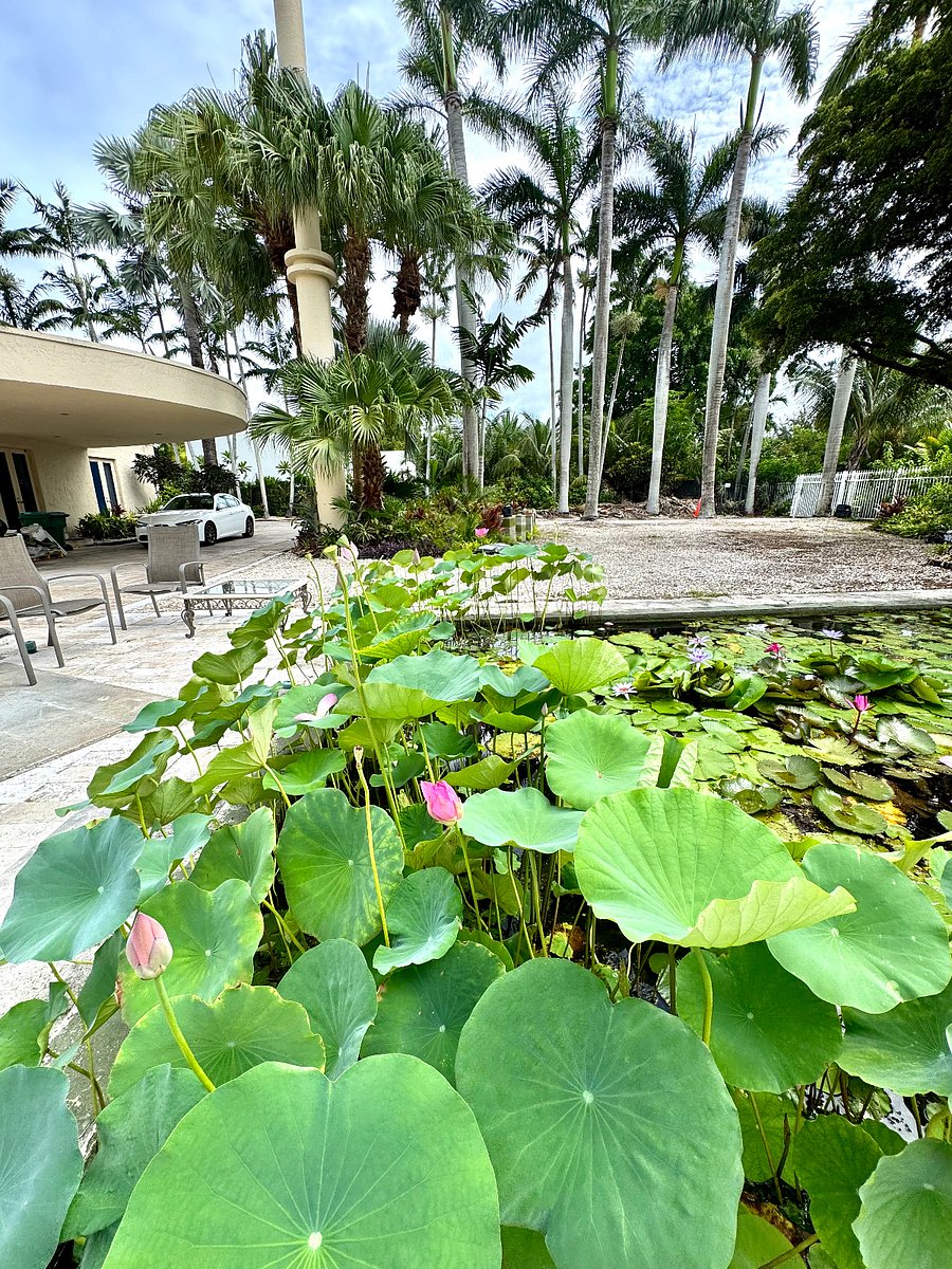 Furnished Finder property 633300_1 photo 3