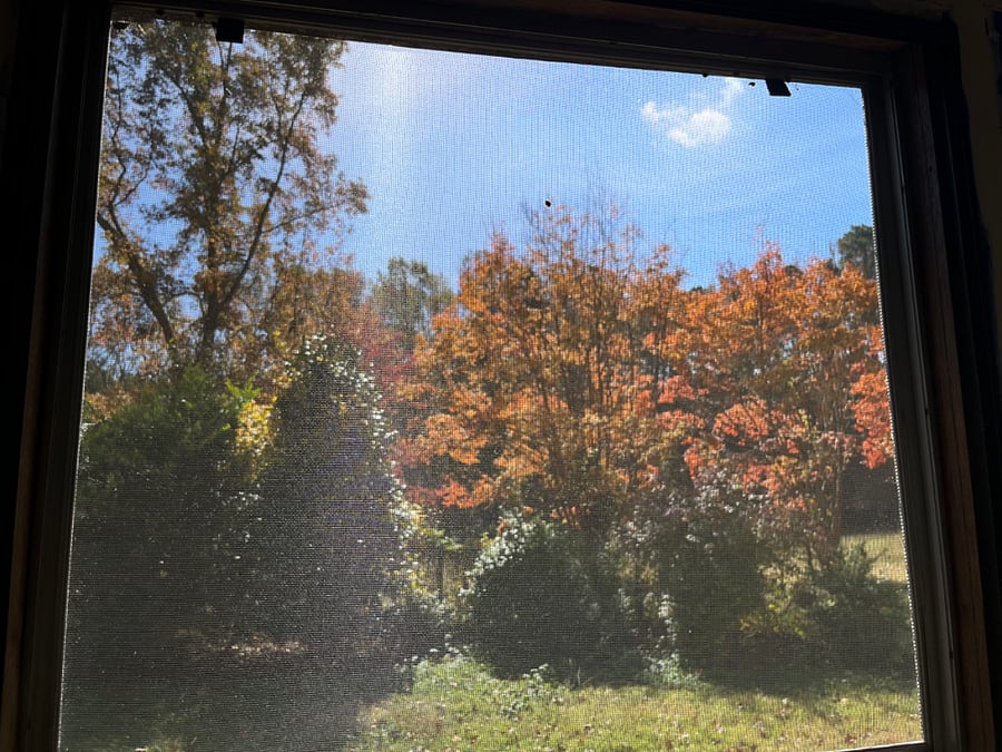 Your view when washing dishes!