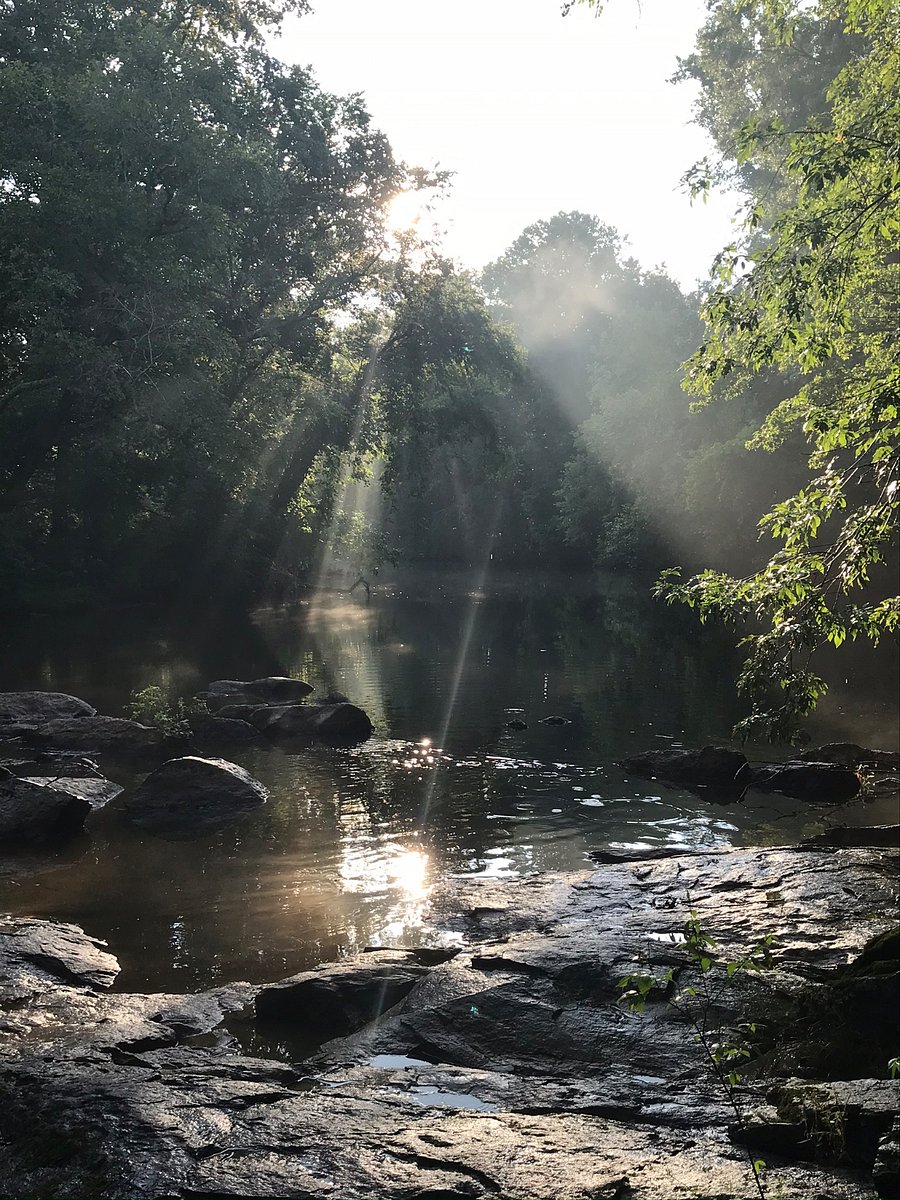 A short walk along the creek through the woods takes you to the river.