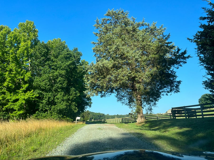 A scene from the road, your neighborhood.