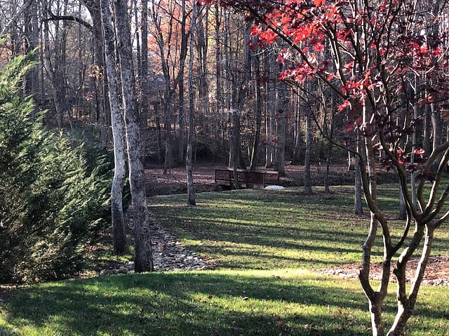 Apartment Backyard View