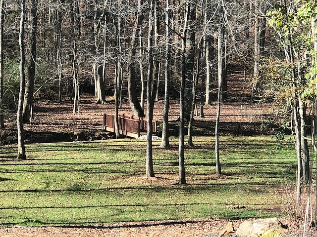 View to Mini-Walking Trail