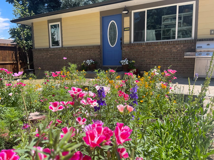 Front entrance, wild flowers