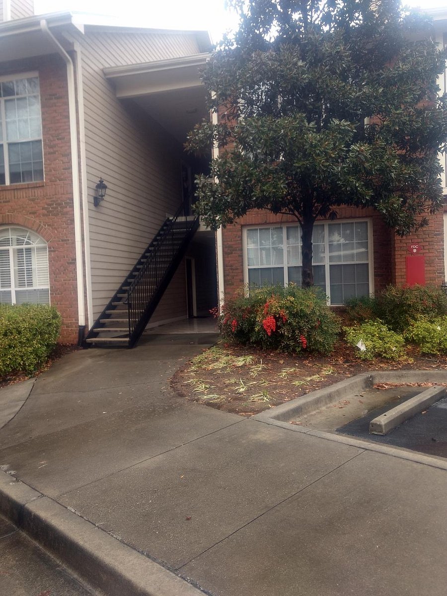 Furnished Finder property 633690_1 photo 7