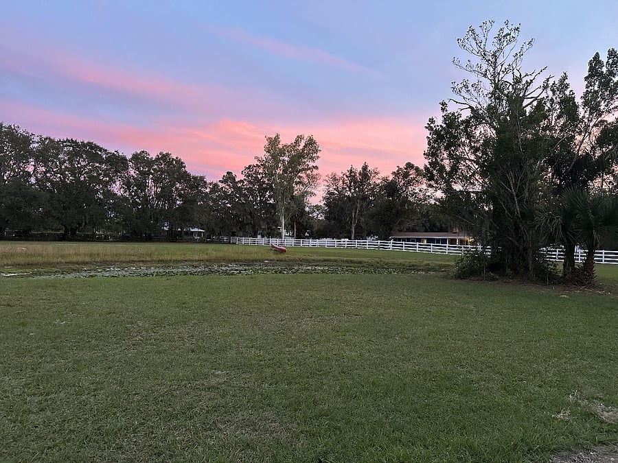 View from north side of property looking back towards the private residence on same property but fully completely fenced off.