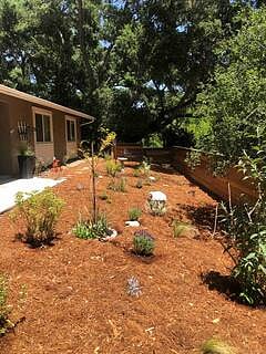 Landscaped front yard