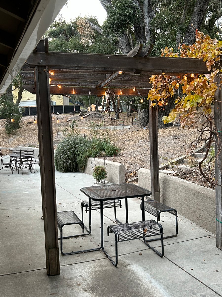 Sitting area under the grape arbor!