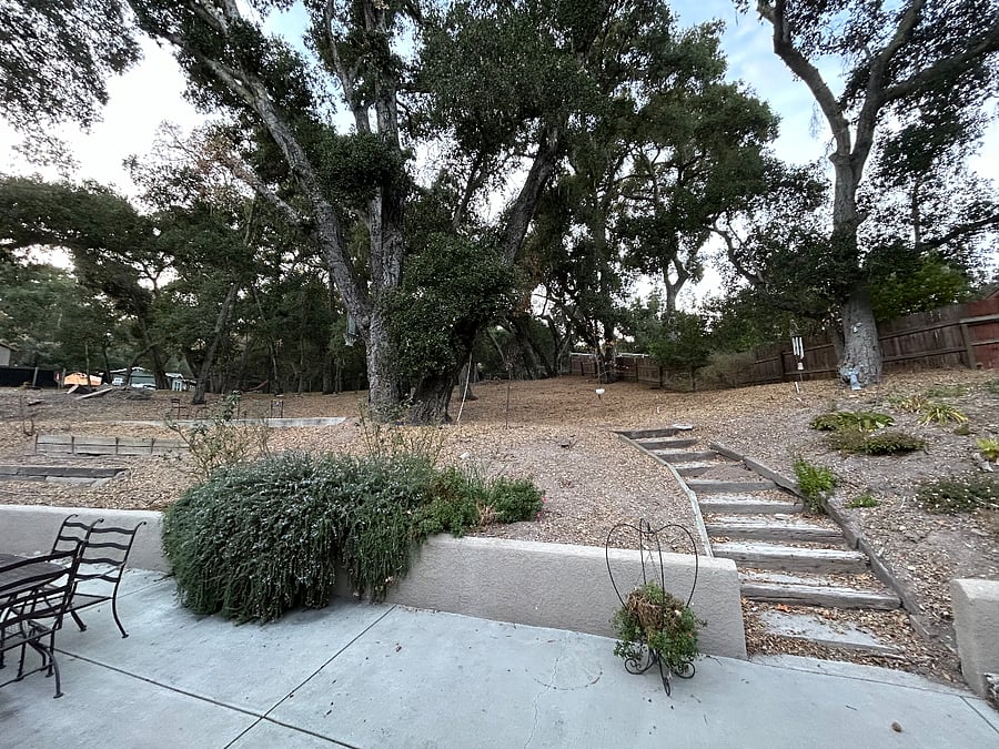 Just a truly stunning, private, and peaceful backyard.