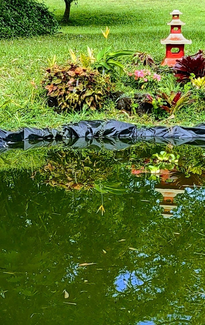 Da Pond.