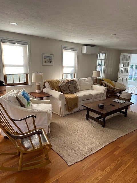 Large Front to Back Living Room with Fireplace Wood Insert, Mini-split with Heat and A/C and Smart TV