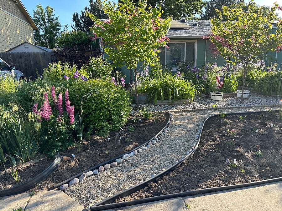 House in summer