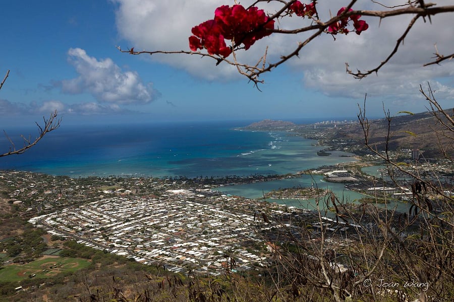 Koko head crater hike