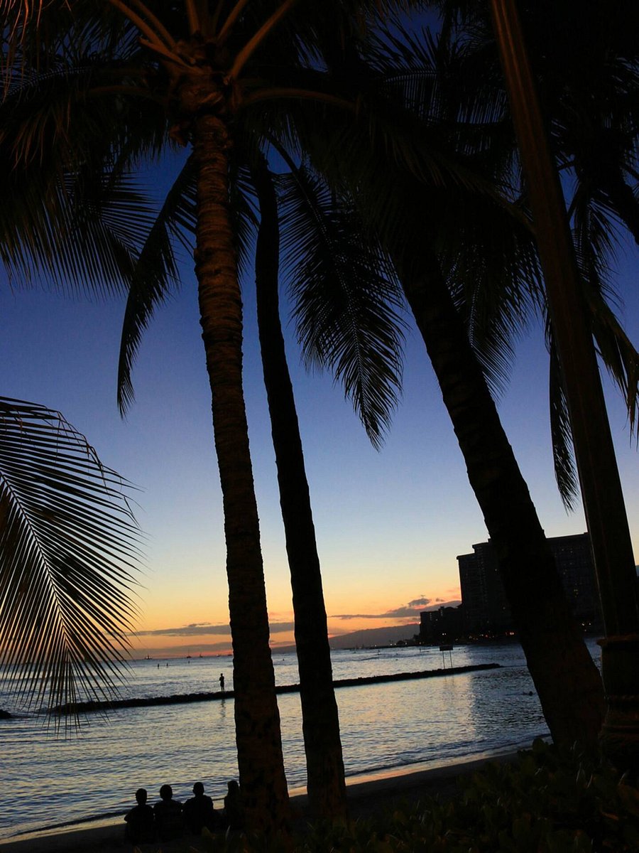 Waikiki sunset