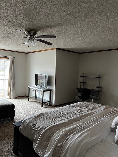 Furnished Finder property 634334_1 photo 14