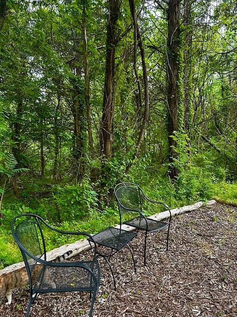 Private Seating area perfect for morning coffee or evening birdwatching!