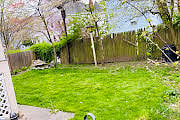 shared back yard