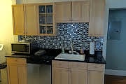 Kitchen - microwave and dishwasher (microwave has since moved to a more aesthetic location)
