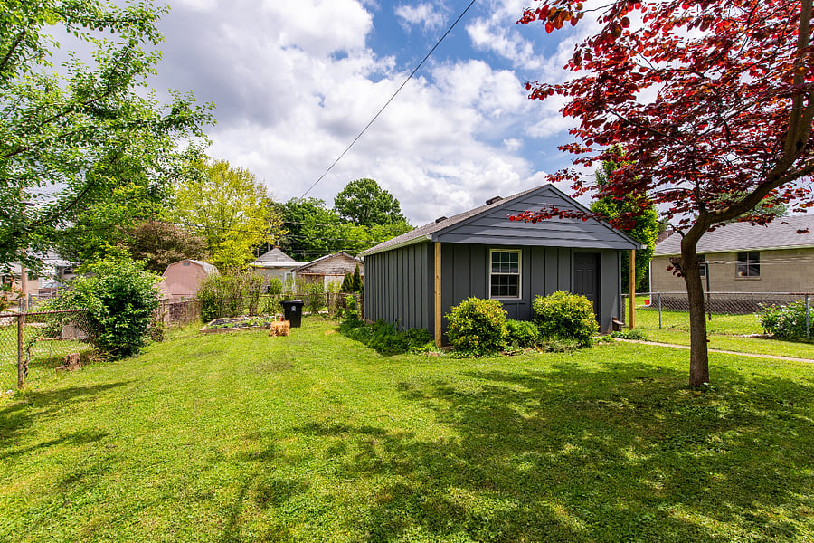 Large, grassy back yard. Yard is almost fully fenced, but not completely.