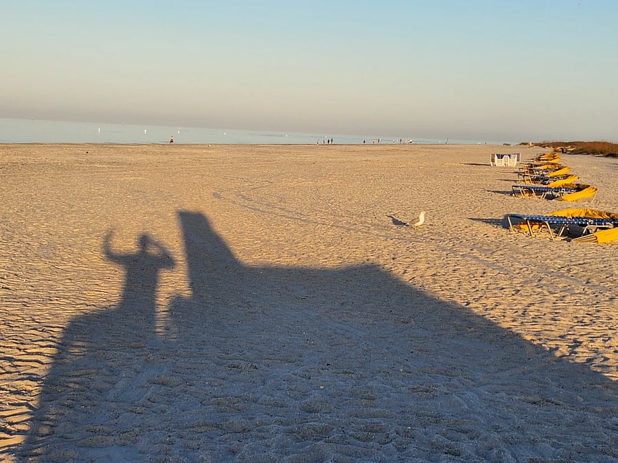 Treasure Island beach