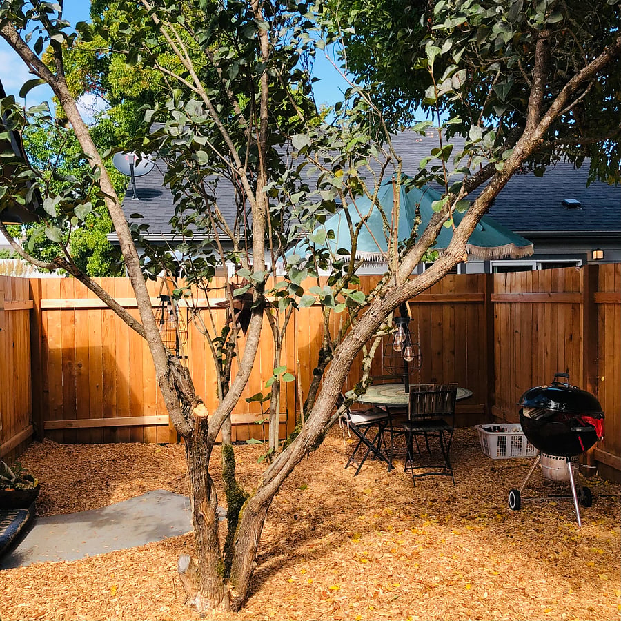 Furnished Finder property 635352_1 photo 3
