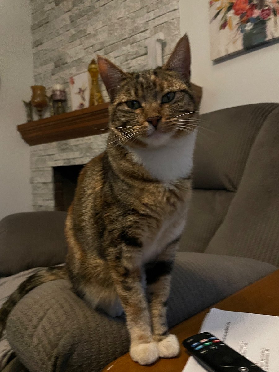 Penny