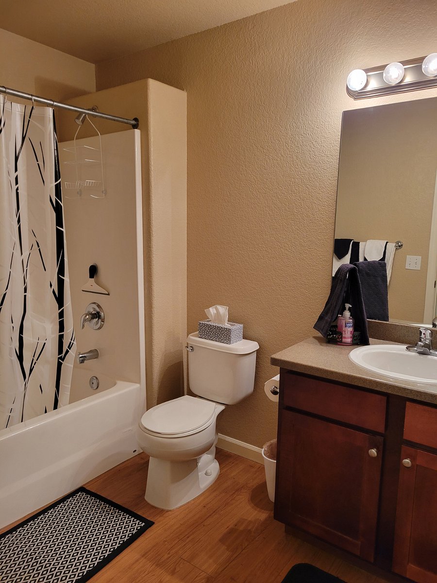 Furnished Finder property 635513_1 photo 16
