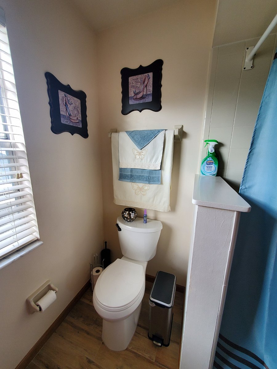 Furnished Finder property 635598_1 photo 7