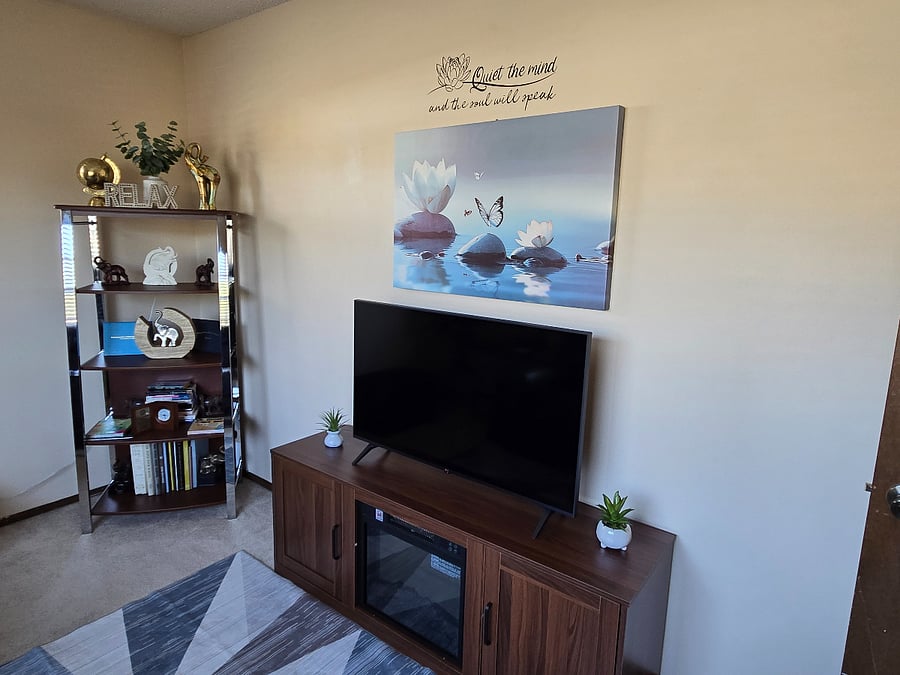 Relaxation lounge also has a smart TV on an electric fireplace stand that can be used for heat or just ambiance after a long day's work. 