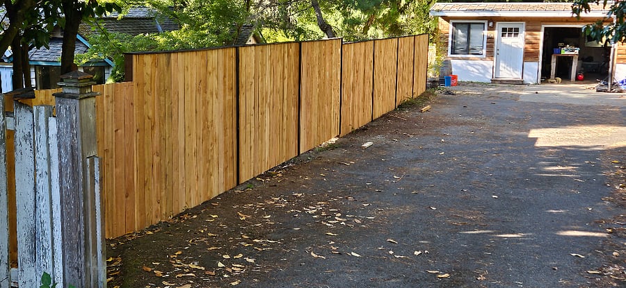 Parking area and privacy fence